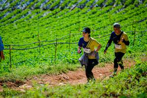 BIB: 
                            <button type="button" onclick="openModal(19164151)" class="btn btn-primary btn-sm float-right btn-popup" data-toggle="modal" data-target=".modal-high-quality">
                        <i class="fas fa-shopping-cart"></i> Add to Cart
                    </button>
                                            <button type="button" onclick="isThisMe(19164151, true)" class="btn btn-success btn-sm float-right btn-popup btn-isme hidden" data-toggle="tooltip" data-placement="bottom" title="นี่คือรูปของคุณใช่ไหม คลิกที่นี่เพื่อเอาเข้าอัลบั้ม">
                        <i class="fas fa-plus"></i> Add to album
                    </button>
                    <button type="button" onclick="isThisMe(19164151, false)" class="btn btn-warning btn-sm float-right btn-popup btn-isnotme hidden">
                        <i class="fas fa-ban"></i> Remove from album
                    </button>